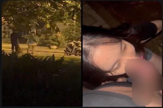 Sex kín đáo trong rừng, oral sex lén lút bên xe hơi